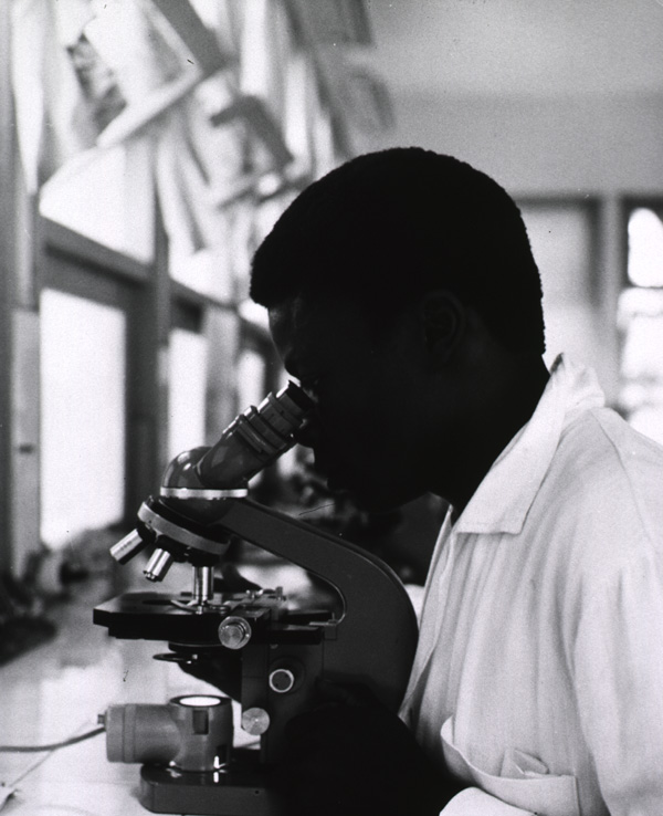 Seated man looks into a microscope