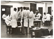 University of Natal Medical Students work on cadavers in the dissecting room