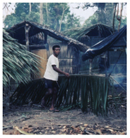 Landless Workers' Movement settlement dwelling with partially thatched roof