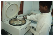 Lab staff member measures red blood cells