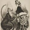 Image of a monkey with the head of Darwin, lecturing a finely dressed lady, from the periodical Fun.