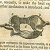 Pages 110 and 111 with images of bones from Paley’s Natural Theology.