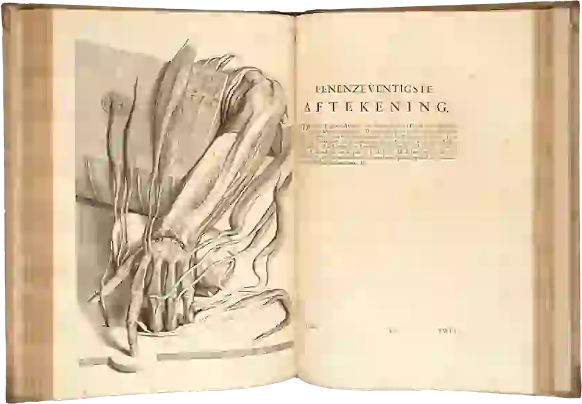 An arm extends from an opened folio book; the skin is flayed and exposed muscles and bones