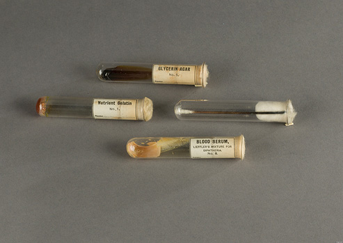 Four glass test tubes with paper labels and cotton plugs. Dried culture media is in three tubes and a metal cotton swab is in the fourth.