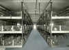 Interior view of room with long rows of wire cages holding guinea pigs.