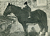 Black and white photograph of a child on the bare back of a dark colored horse in front of a stone building.