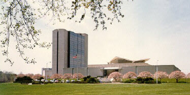 Flowering Trees