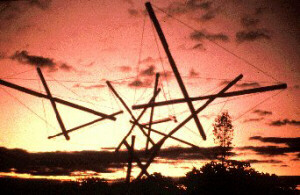 Tree Sculpture at Sunset