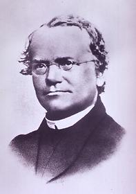 Gregor Mendel