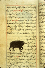 Folio 25a from Zakarīyā’ ibn Muḥammad al-Qazwīnī's ‘Ajā’ib al-makhlūqāt wa-gharā’ib al-mawjūdāt (Marvels of Things Created and Miraculous Aspects of Things Existing), featuring the constellation Ursa Minor drawn using opaque watercolors and ink in the middle of the text. The thin, light-brown, lightly glossed paper has vertical laid lines. The text is written in a careful medium-small nasta‘liq script, in black ink with headings in red. The text is enclosed in frames formed of one blue and two red thin lines.