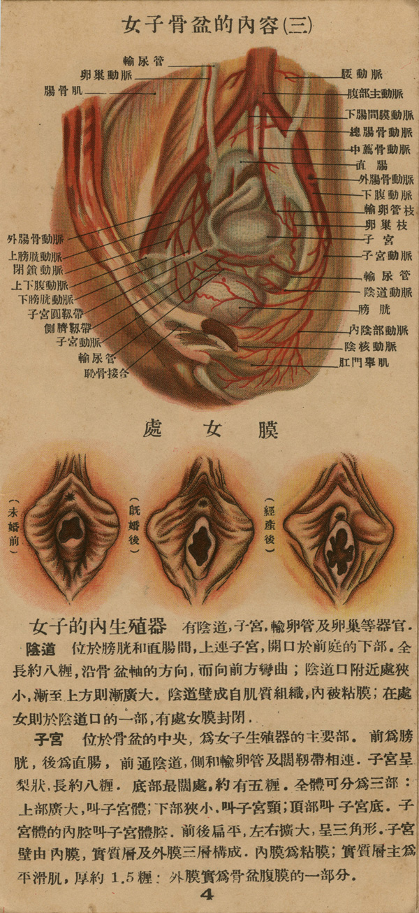 Page of text from a fold-out booklet with anatomical illustrations of the female reproductive anatomy