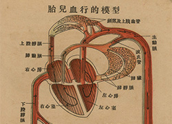 Page of text from a fold-out booklet with anatomical illustrations of the female reproductive anatomy