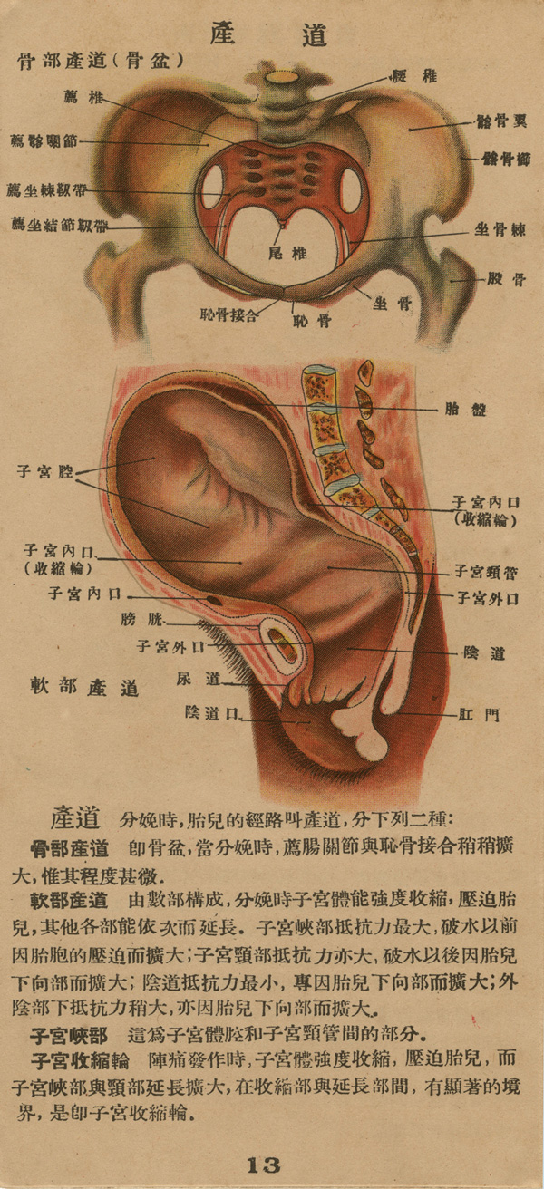 Page of text from a fold-out booklet with anatomical illustrations of the female reproductive anatomy