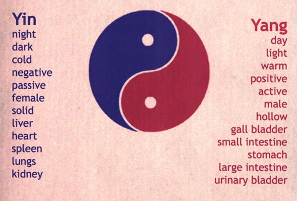 Red and blue yin and yang with lists of associated words on either side describing each element of yin and yang