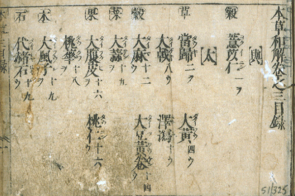 Page opening of a book with Chinese characters and drawings