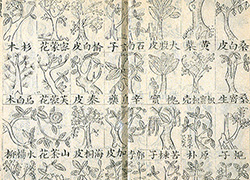 Page opening of a book with Chinese characters and drawings