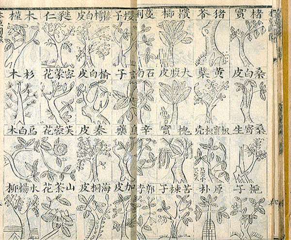 Page opening of a book with Chinese characters and drawings