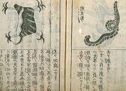 Page opening of a book with Chinese characters and drawings