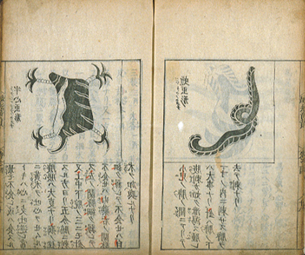 Page opening of a book with Chinese characters and drawings