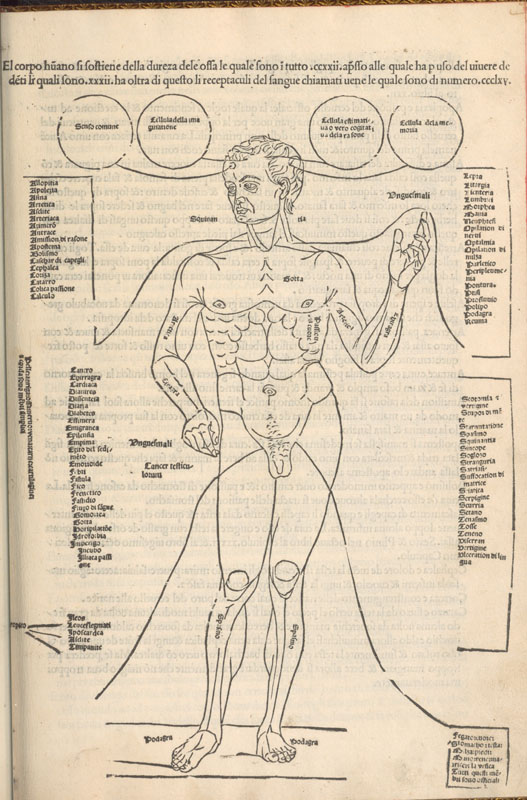 Woodcut chart showing nude male figure facing front surrounded by disease labels linked to body parts.