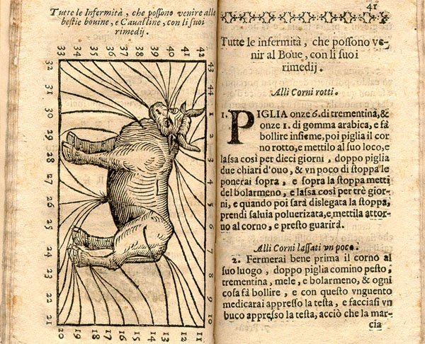 Book open showing on left a disease cow chart with lines leading from different parts of the horses body to numbers indexed on the facing text page.