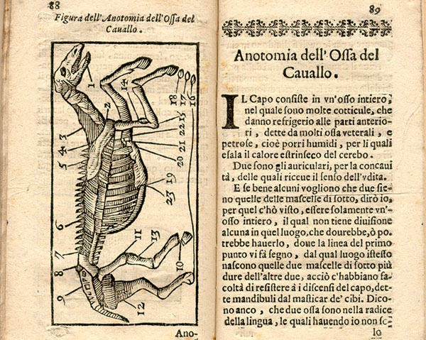 Open book showing a woodcut of a horse skeleton parts of the body labeled with numbers indexed to text on the facing page.