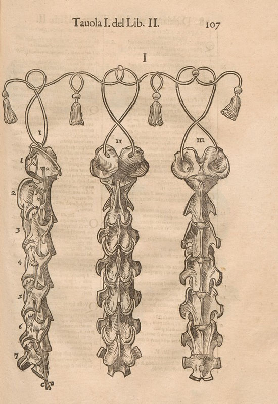 Woodcut of three sets of horse neck vertebrae, tied together decoratively with tasseled cords as though hanging.