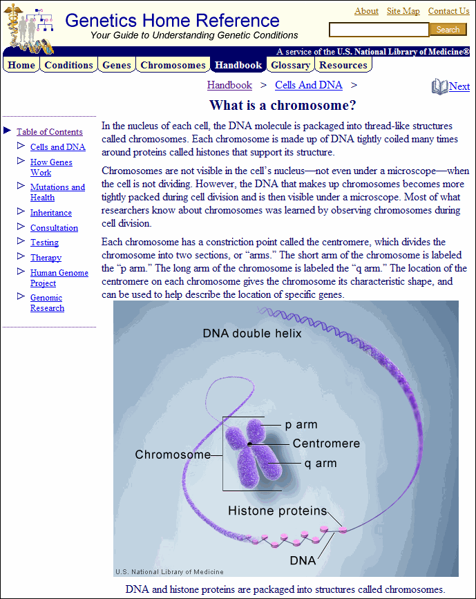 Screen capture of a sample from GHR's Handbook, Help Me Understand Genetics.