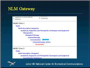 MeSH Tree display for Immunization