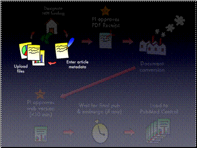 PubMed Central Process (2)