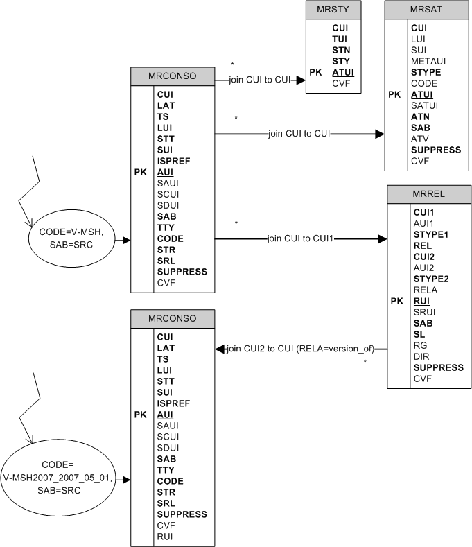 How to perform searches for root and versioned source metadata concepts graph