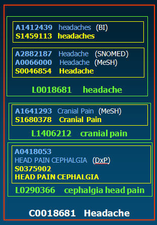 graphic of the CUI, LUI, SUI, and AUIs associated with the concept 'Headache'